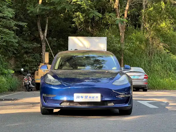 Tesla Model 3 2019