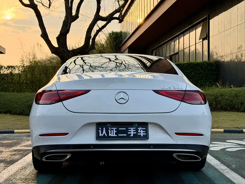 Mercedes-Benz CLS 2021 — фото 6