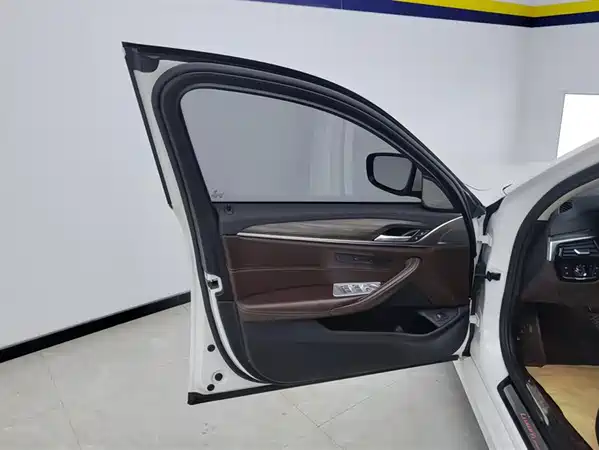 BMW 5 Series 2019