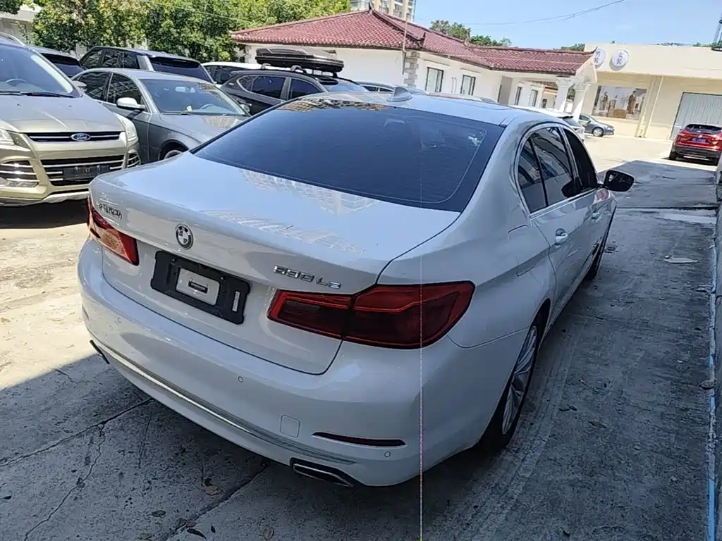 BMW 5 Series New Energy 2020