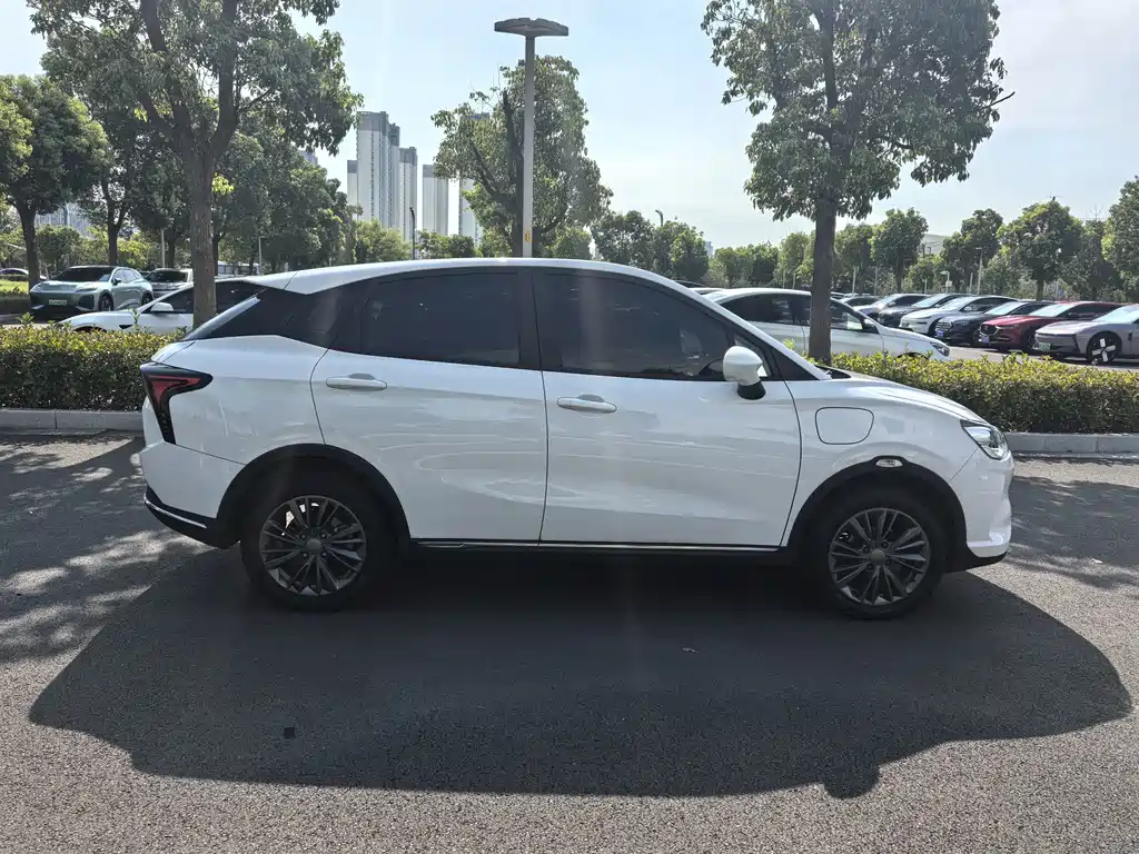 Neta V 2022