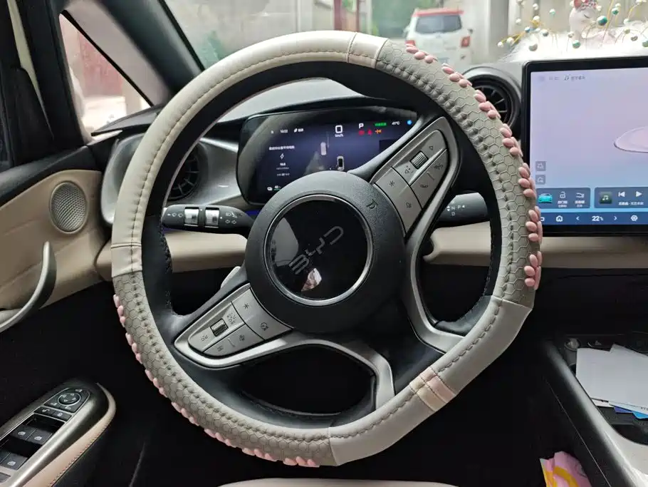BYD Dolphin 2025 — фото 15