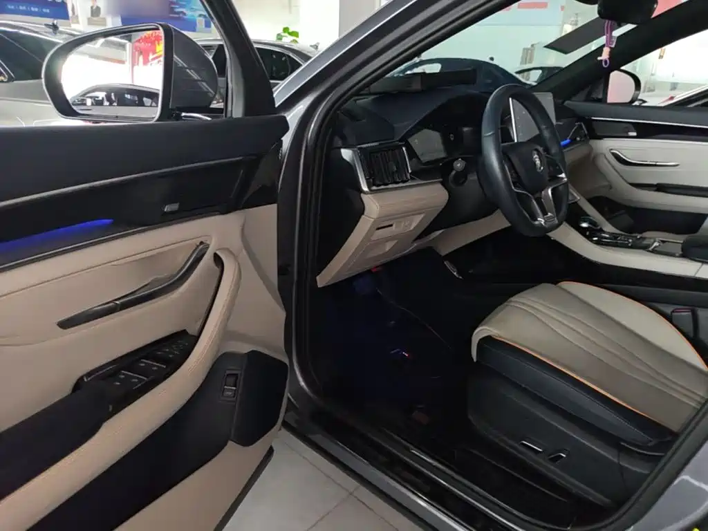 BYD Song PLUS New Energy 2022 — фото 16