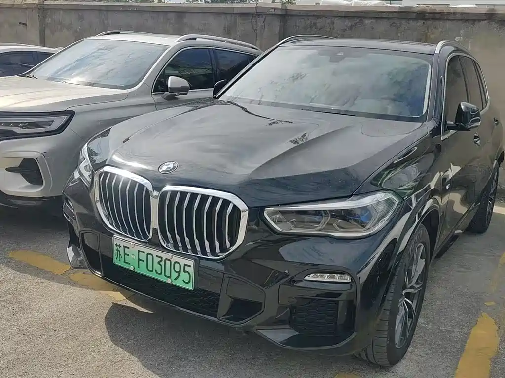BMW X5 New Energy 2021