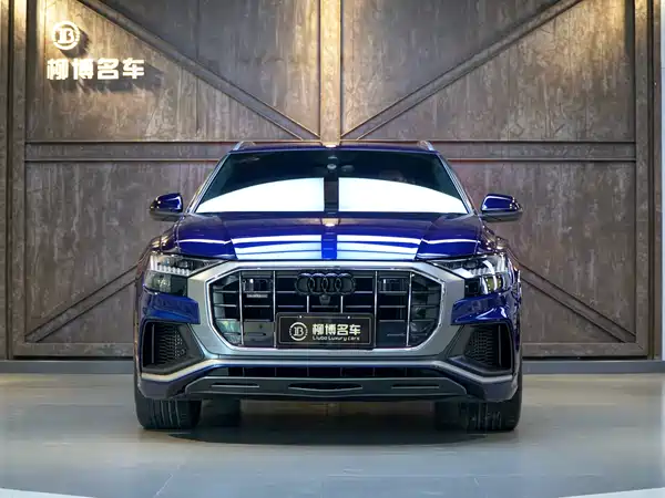 Audi Q8 2019