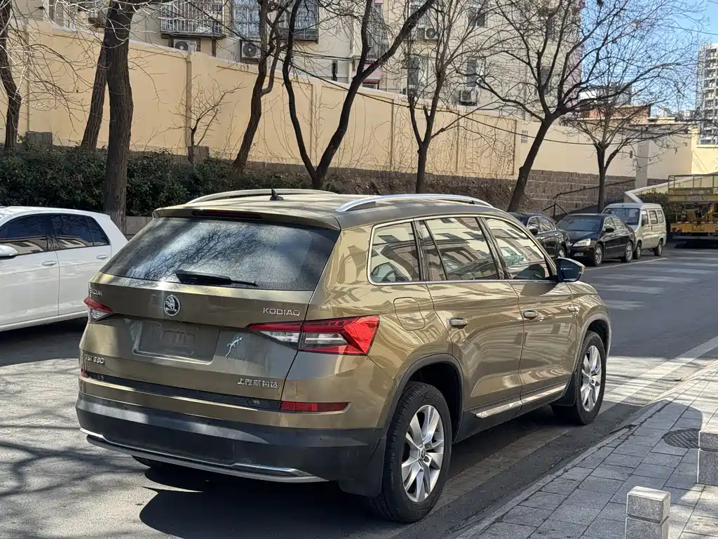 Skoda Kodiaq 2019 — фото 7
