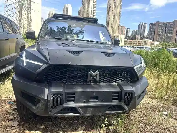 Mengshi 917 2026