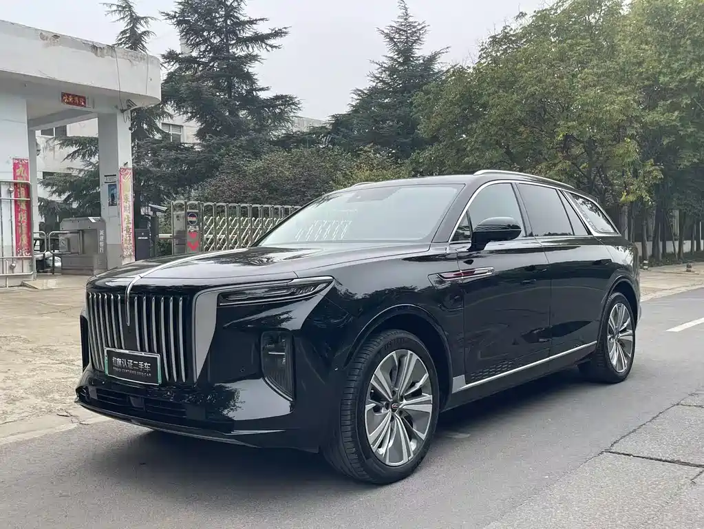 Hongqi E-HS9 2023 — фото 1