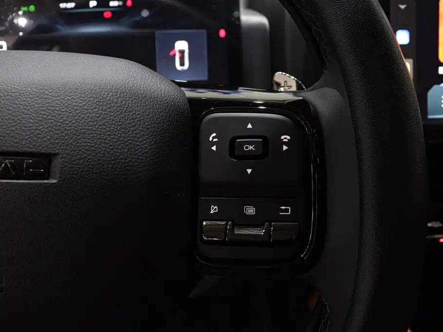 Haval H9 2024 — фото 18