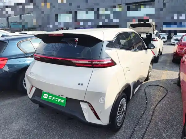 BYD Seagull 2024
