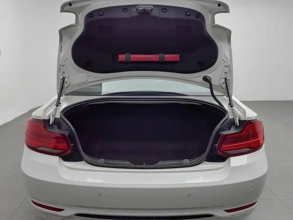 BMW 2 Series 2018 — фото 16