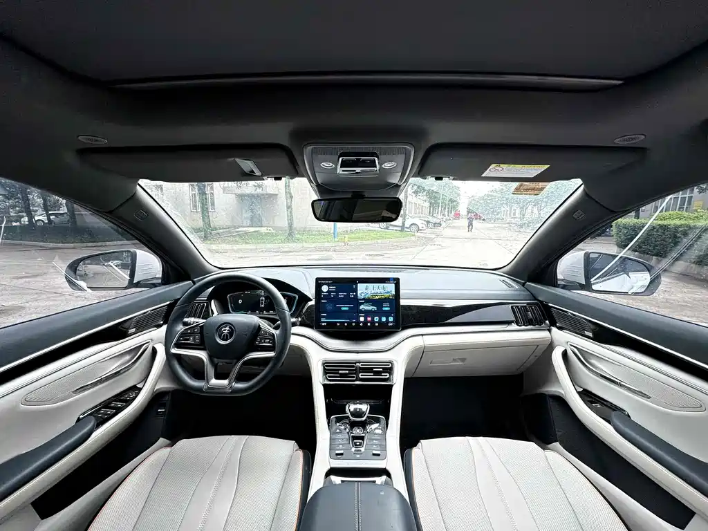 BYD PLUS New Energy 2021 — фото 6