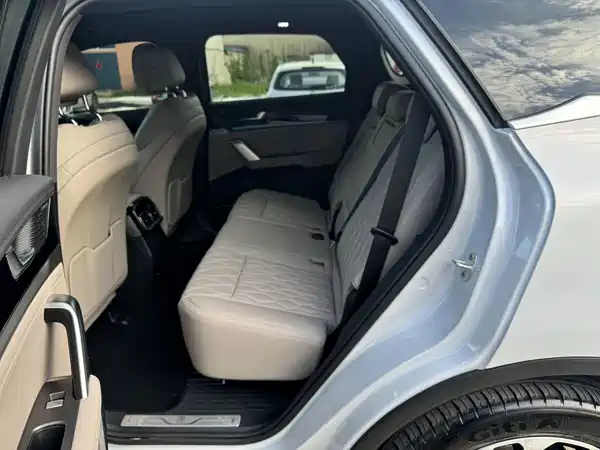BYD Tang New Energy 2024