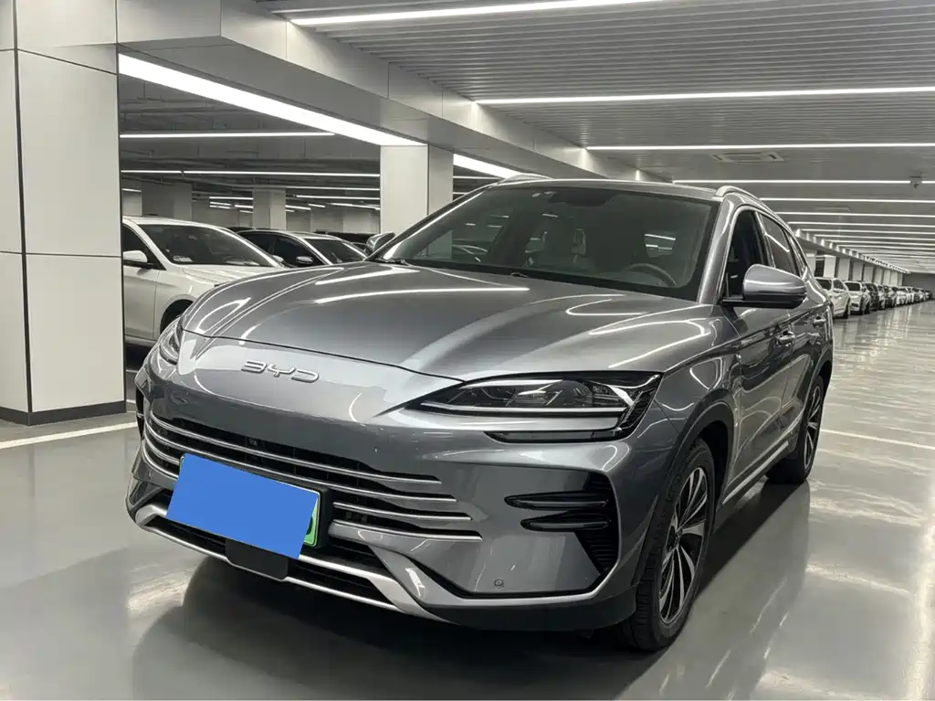 BYD Song PLUS New Energy 2024 — фото 1