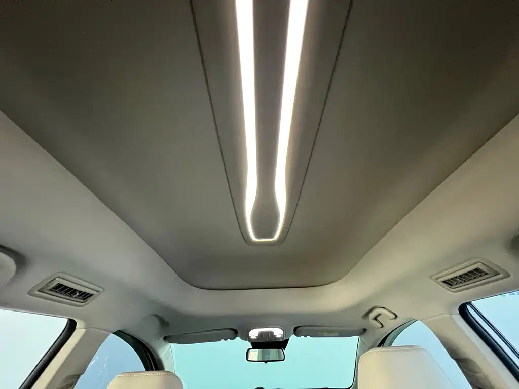 BYD Song MAX New Energy 2023 — фото 27