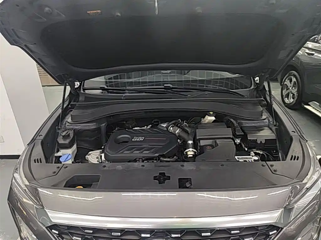Hyundai Santa Fe 2019 — фото 20