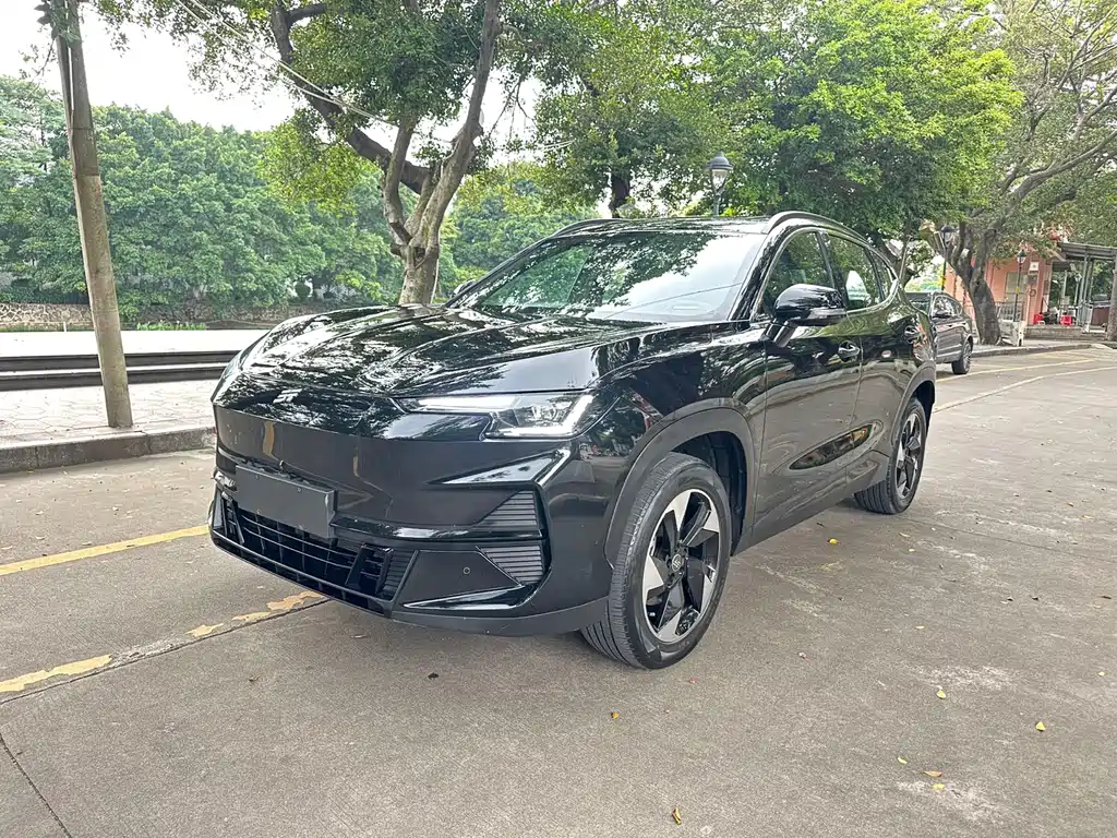 Shanhai L6 2024