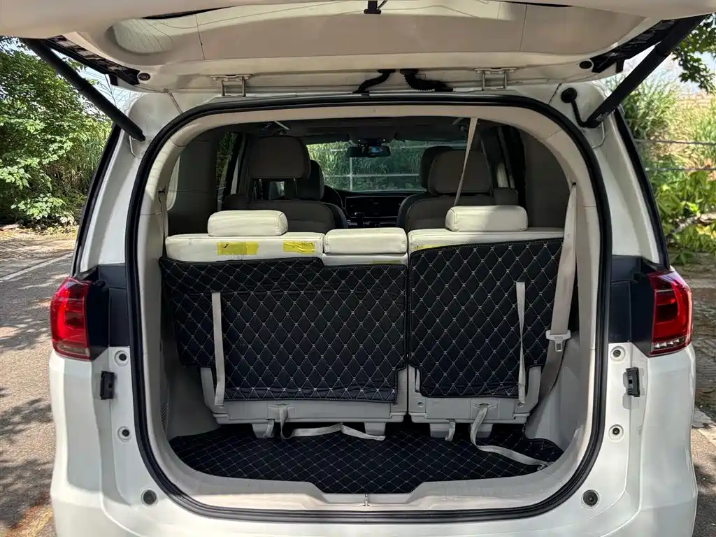 GAC Trumpchi M8 2018 — фото 7