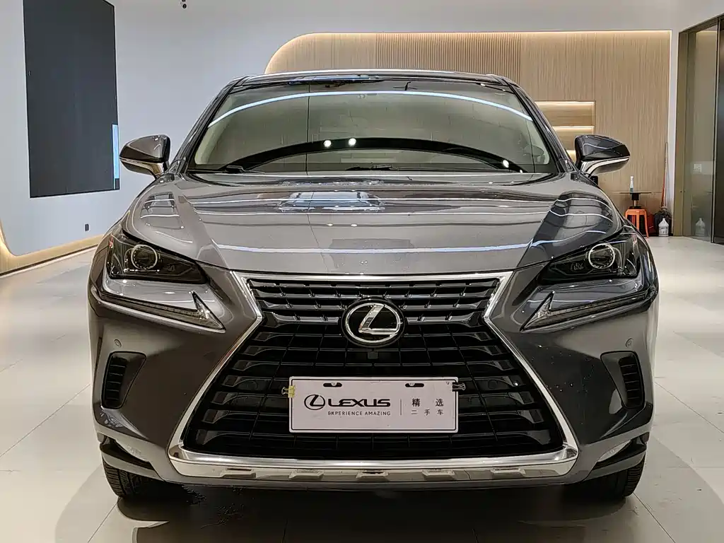 Lexus NX 2019 — фото 1