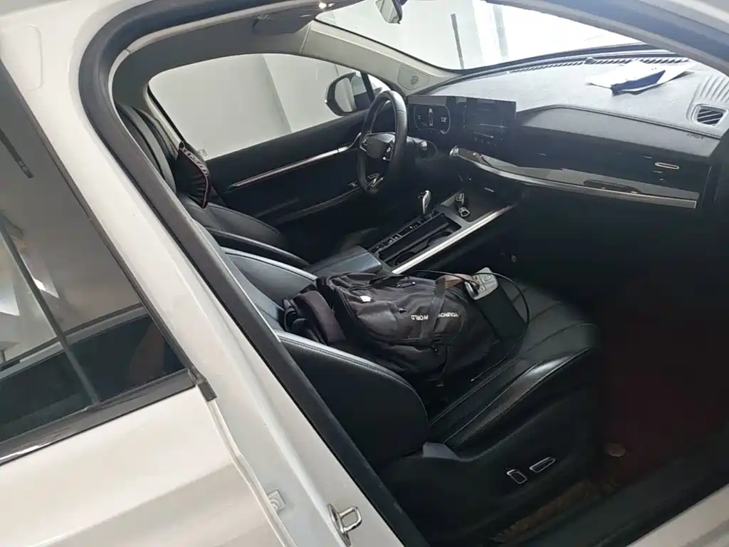 Roewe RX5 MAX 2022 — фото 25