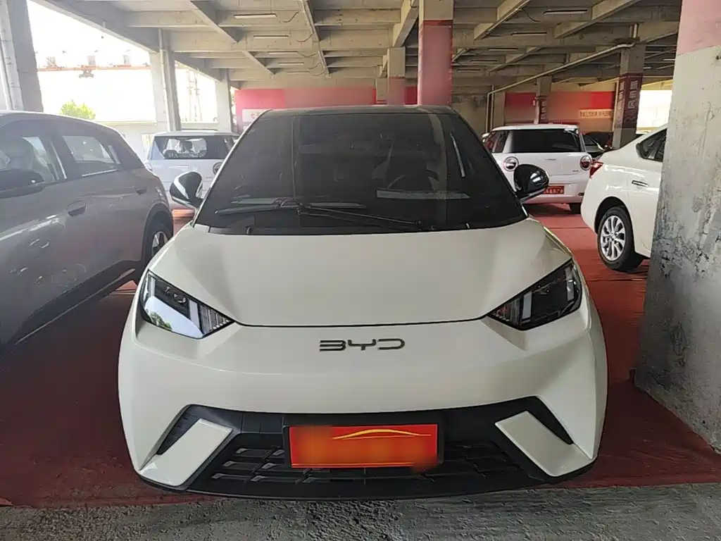BYD Seagull 2024