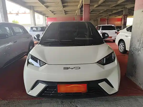 BYD Seagull 2024