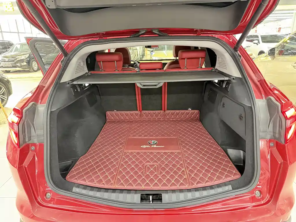 Alfa Romeo Stelvio 2019 — фото 14