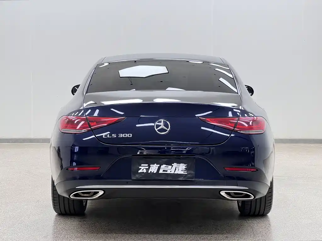Mercedes-Benz CLS 2019 — фото 6