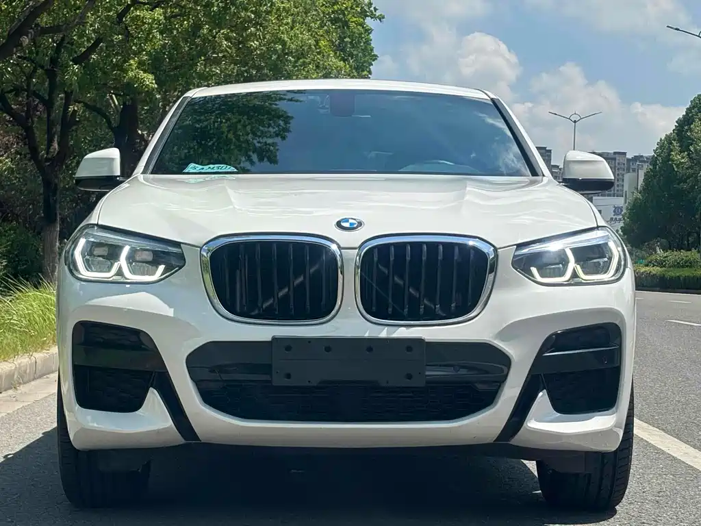BMW X4 2021 — фото 2