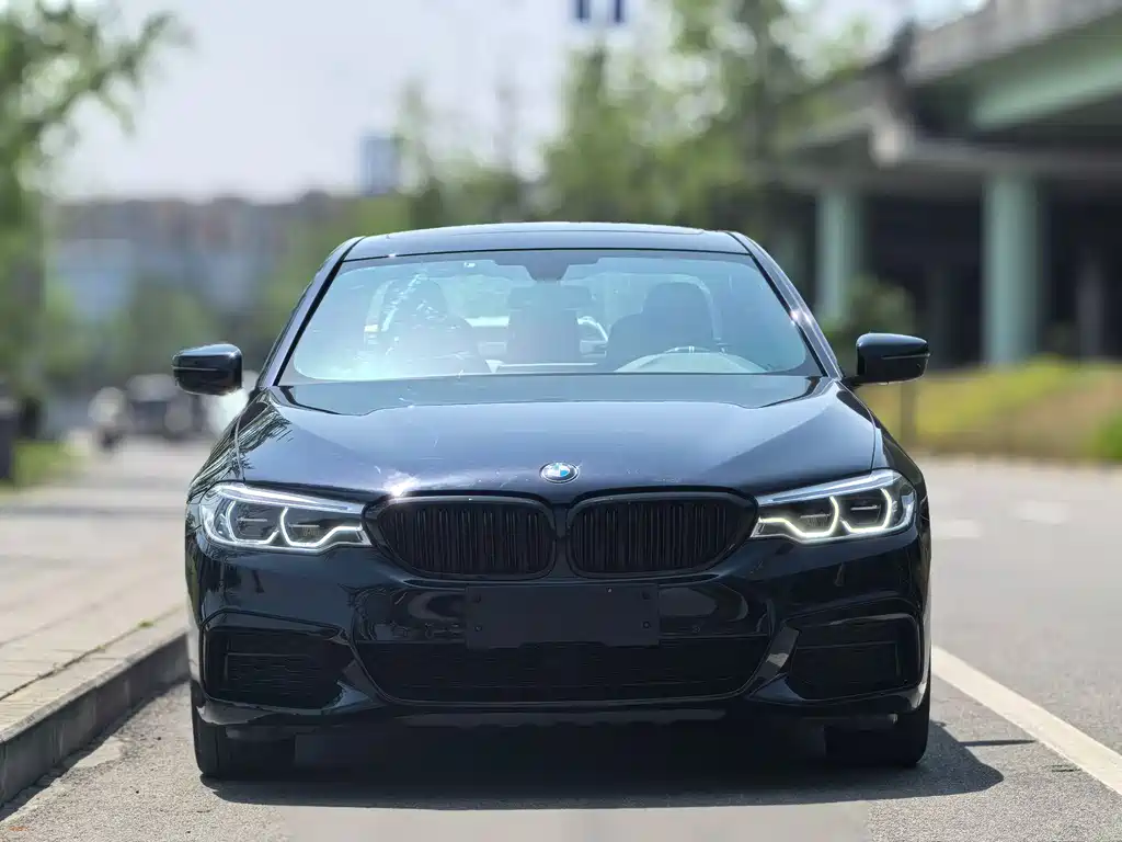 BMW 5 Series 2019