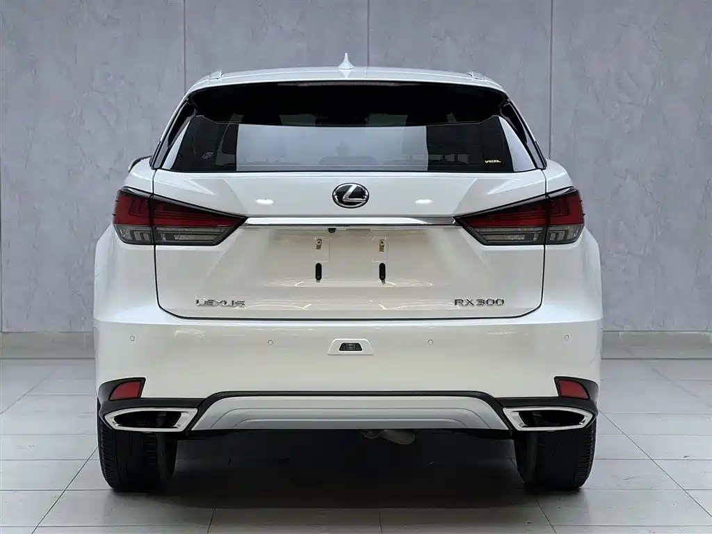 Lexus RX 2020 — фото 12