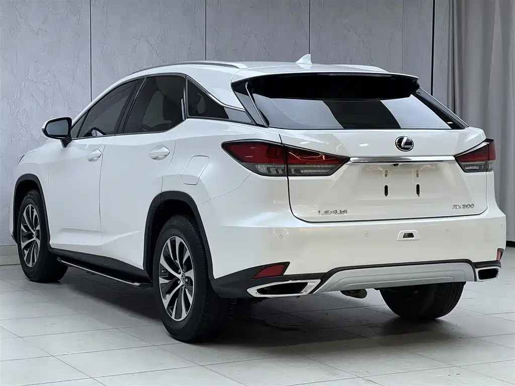 Lexus RX 2020 — фото 13