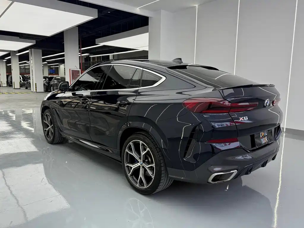 BMW X6 2021 — фото 14