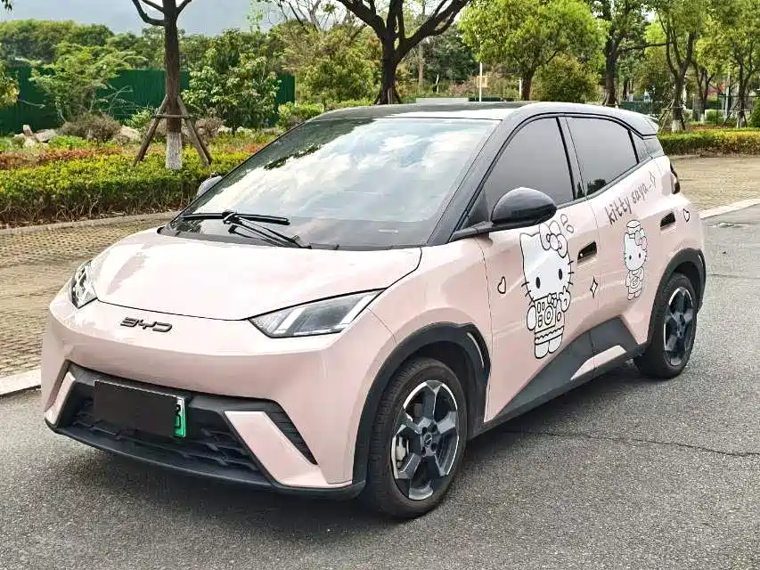 BYD Seagull 2024