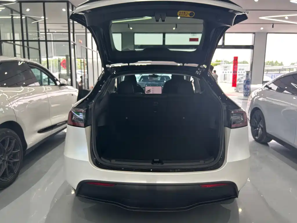 Tesla Model Y 2023 — фото 10