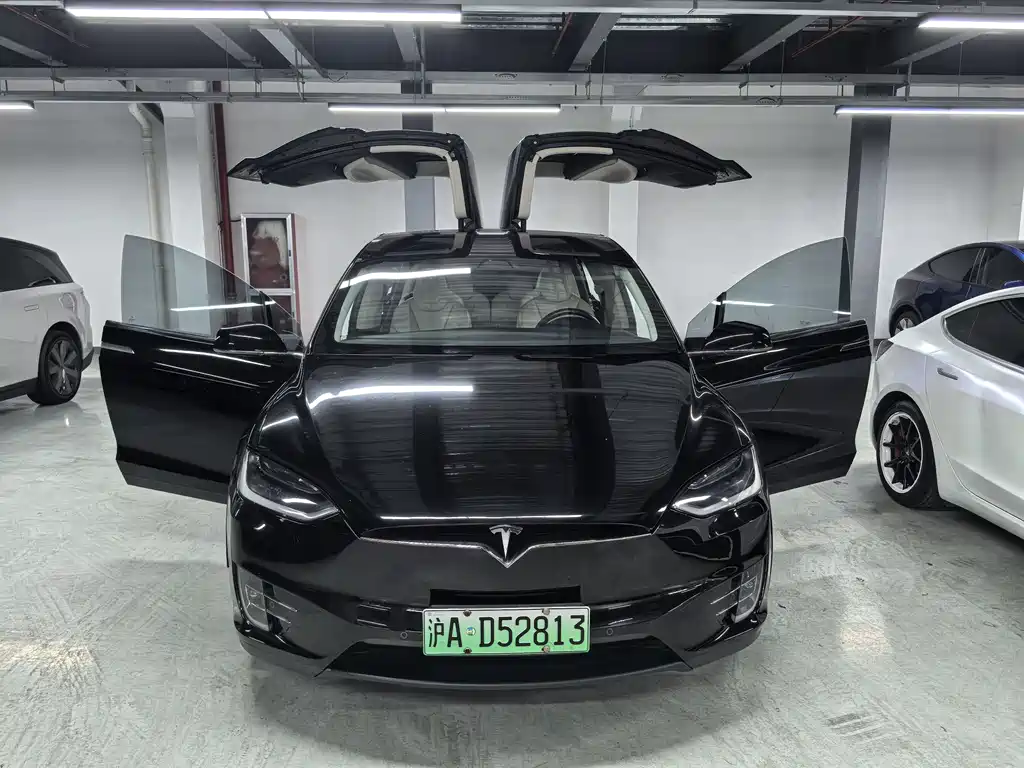 Tesla Model X 2019 — фото 14