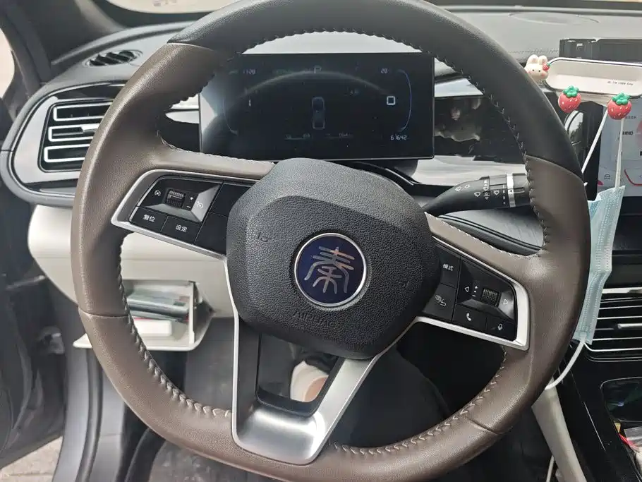 BYD Qin PLUS 2023 — фото 15