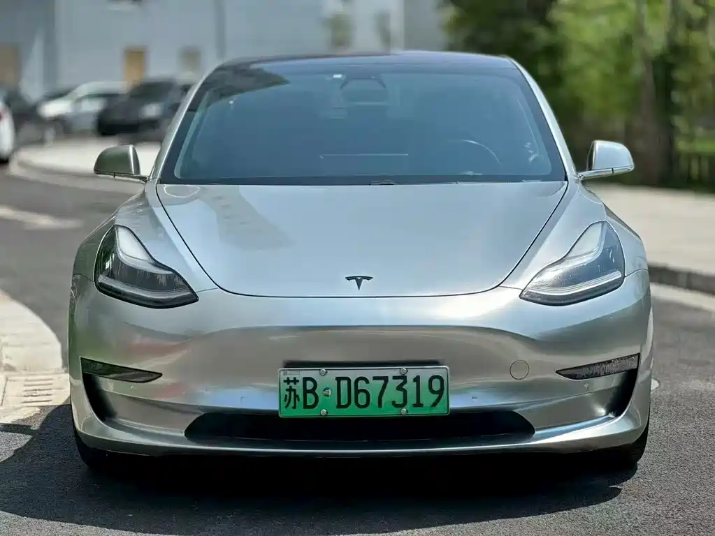 Tesla Model 3 2019