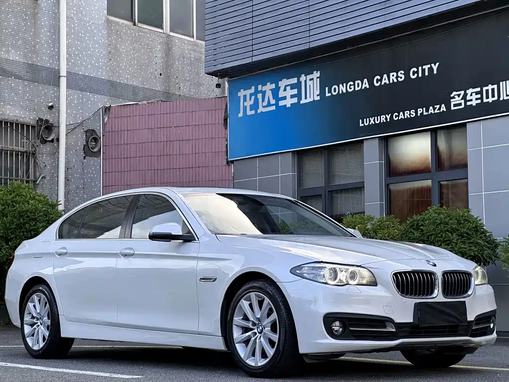 BMW 5 Series 2014 — фото 6