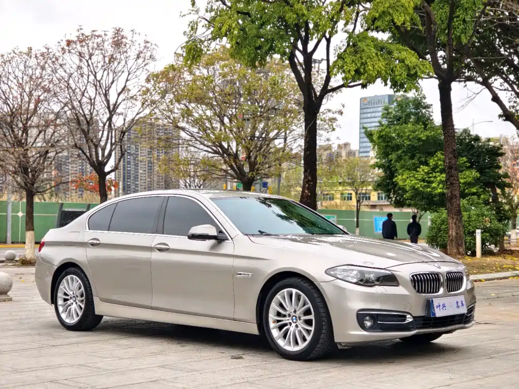 BMW 5 Series 2017