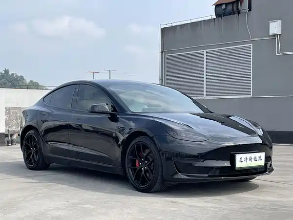Tesla Model 3 2022