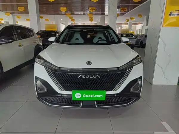 Dongfeng Haohan 2024