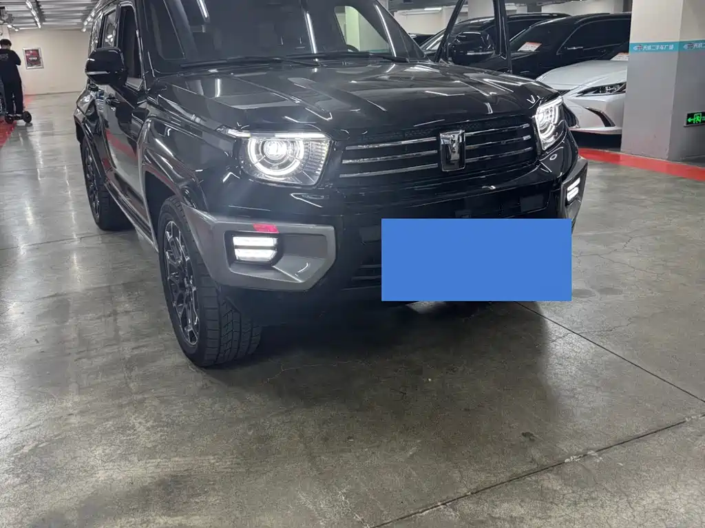Tank 700 New Energy 2024 — фото 2