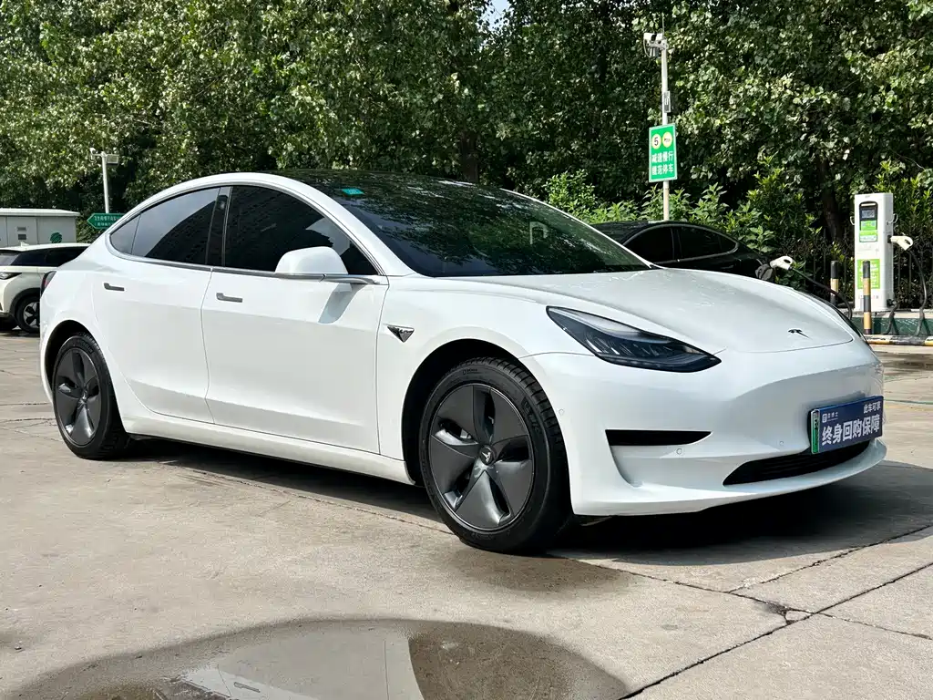 Tesla Model 3 2020 — фото 3