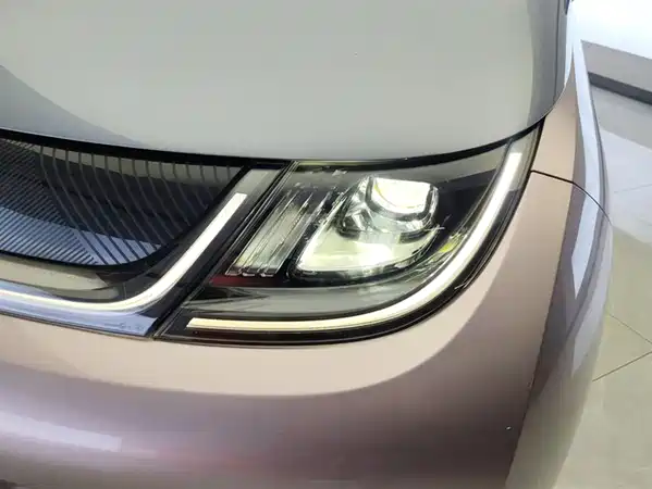 BYD Dolphin 2022