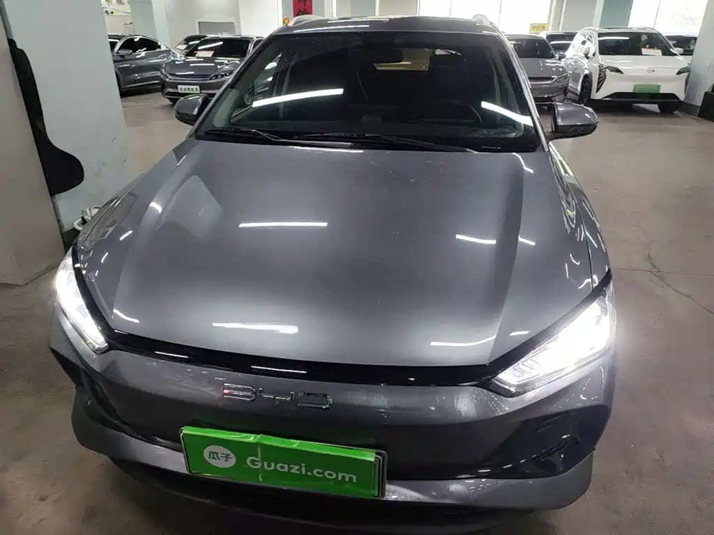 BYD e2 2024