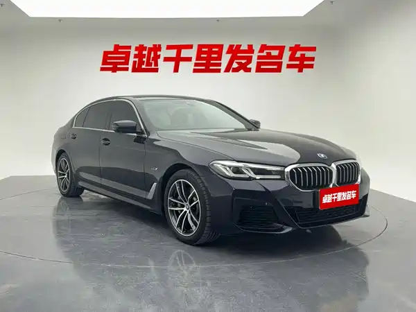 BMW 5 Series New Energy 2022