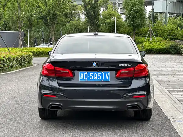 BMW 5 Series 2019