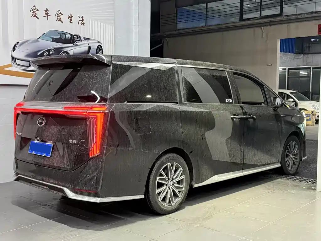 GAC Motor Trumpchi M8 2024 — фото 14