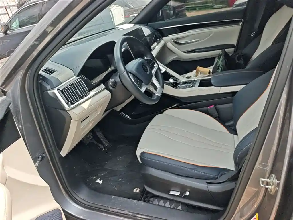 BYD PLUS New Energy 2022 — фото 15